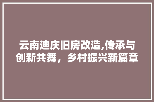 云南迪庆旧房改造,传承与创新共舞，乡村振兴新篇章