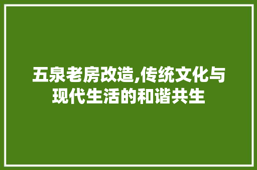 五泉老房改造,传统文化与现代生活的和谐共生
