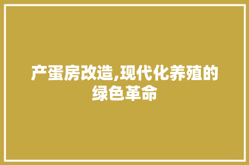 产蛋房改造,现代化养殖的绿色革命