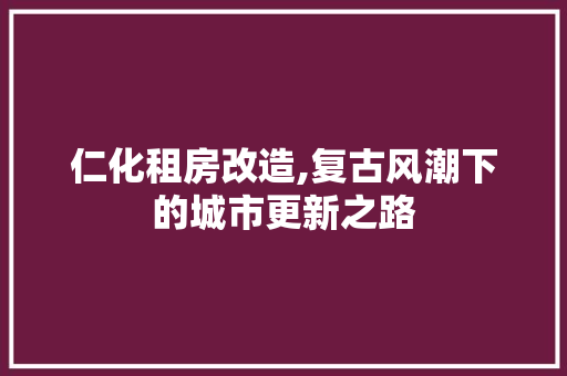 仁化租房改造,复古风潮下的城市更新之路