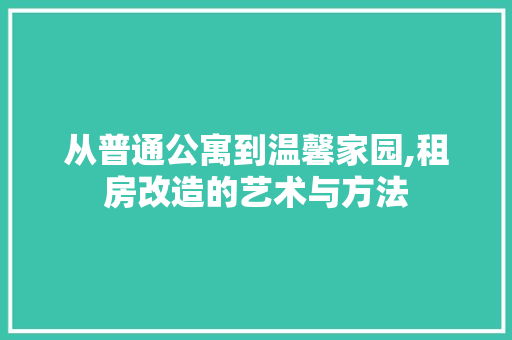 从普通公寓到温馨家园,租房改造的艺术与方法