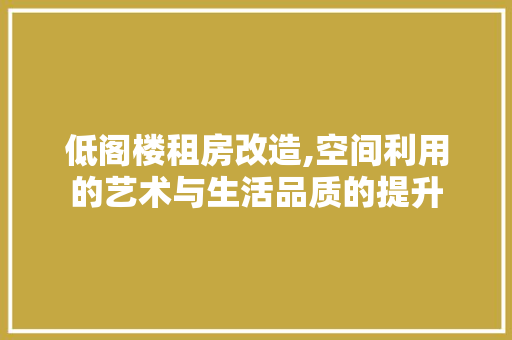 低阁楼租房改造,空间利用的艺术与生活品质的提升
