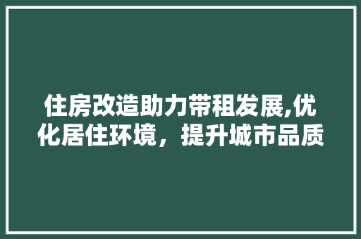 住房改造助力带租发展,优化居住环境，提升城市品质
