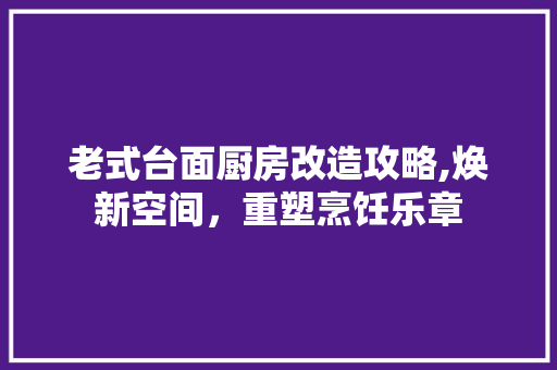老式台面厨房改造攻略,焕新空间，重塑烹饪乐章