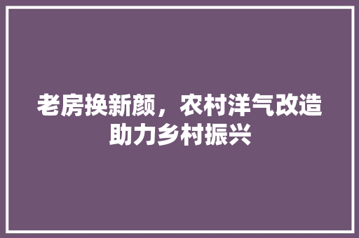 老房换新颜，农村洋气改造助力乡村振兴