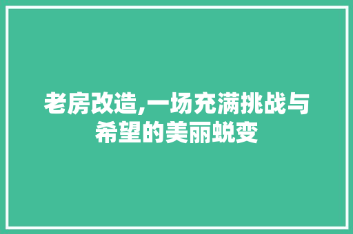 老房改造,一场充满挑战与希望的美丽蜕变
