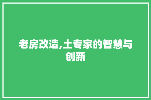 老房改造,土专家的智慧与创新