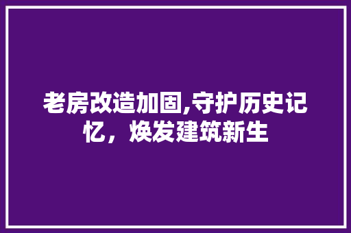 老房改造加固,守护历史记忆，焕发建筑新生