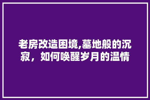 老房改造困境,墓地般的沉寂，如何唤醒岁月的温情