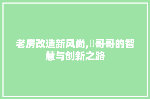 老房改造新风尚,囧哥哥的智慧与创新之路