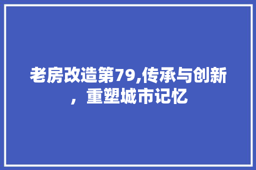 老房改造第79,传承与创新，重塑城市记忆