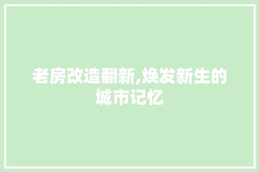 老房改造翻新,焕发新生的城市记忆