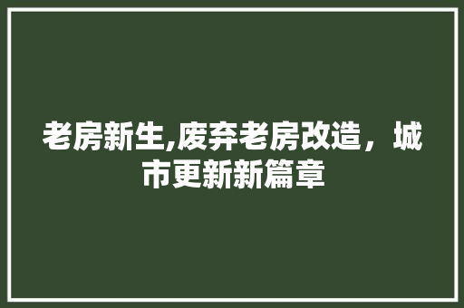 老房新生,废弃老房改造，城市更新新篇章