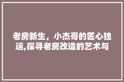 老房新生，小杰哥的匠心独运,探寻老房改造的艺术与智慧