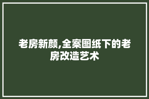 老房新颜,全案图纸下的老房改造艺术