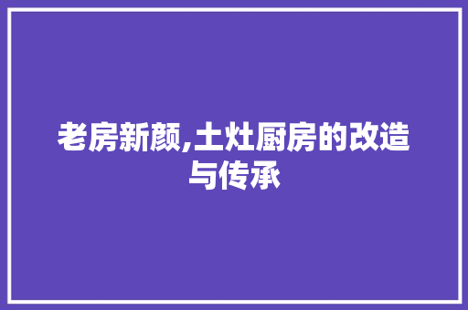 老房新颜,土灶厨房的改造与传承