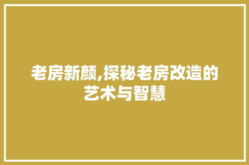 老房新颜,探秘老房改造的艺术与智慧