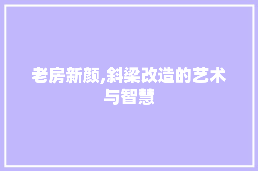 老房新颜,斜梁改造的艺术与智慧