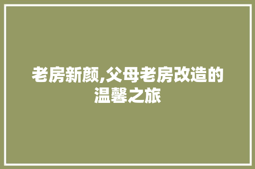 老房新颜,父母老房改造的温馨之旅