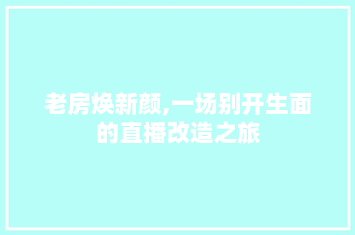 老房焕新颜,一场别开生面的直播改造之旅