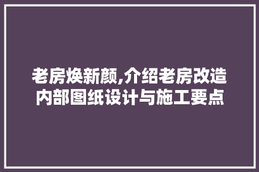 老房焕新颜,介绍老房改造内部图纸设计与施工要点
