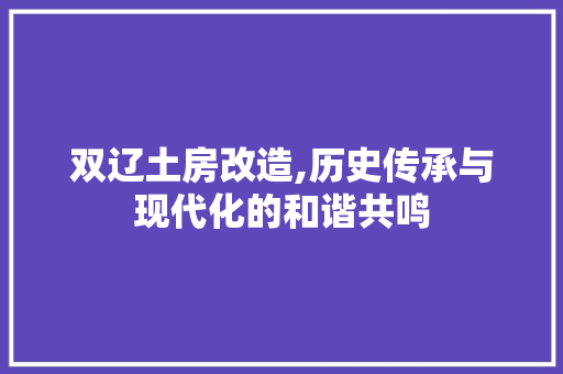 双辽土房改造,历史传承与现代化的和谐共鸣