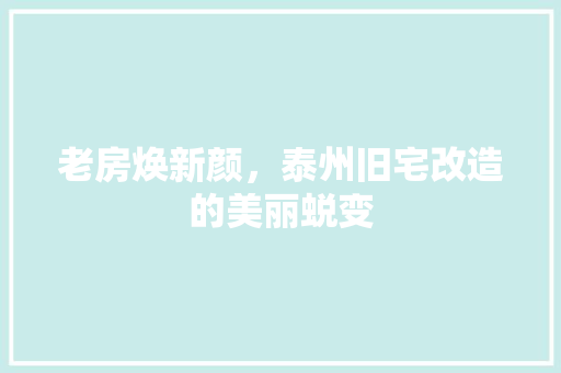 老房焕新颜，泰州旧宅改造的美丽蜕变