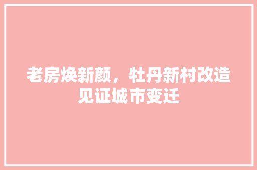 老房焕新颜，牡丹新村改造见证城市变迁