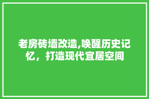 老房砖墙改造,唤醒历史记忆，打造现代宜居空间