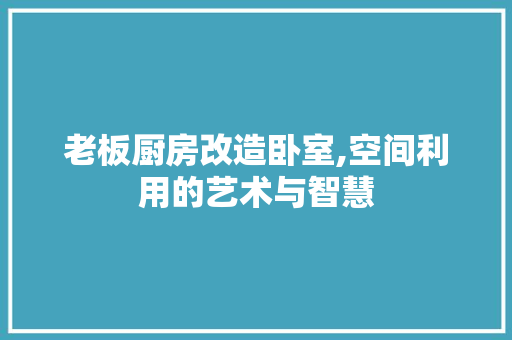 老板厨房改造卧室,空间利用的艺术与智慧