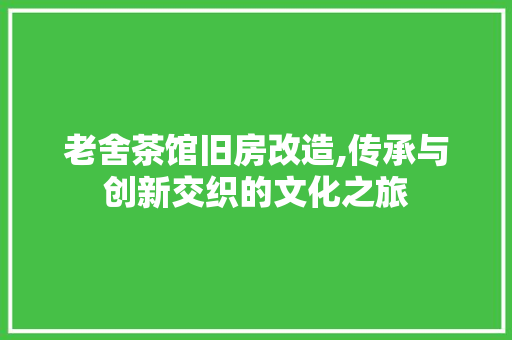 老舍茶馆旧房改造,传承与创新交织的文化之旅