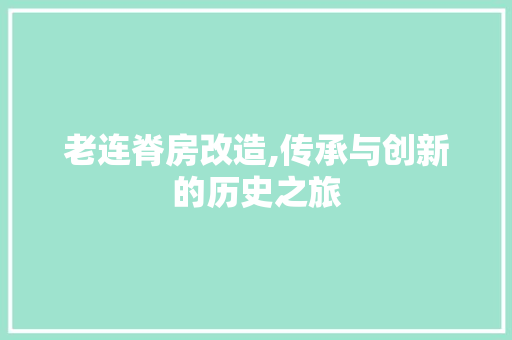 老连脊房改造,传承与创新的历史之旅