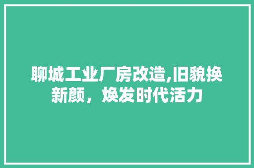 聊城工业厂房改造,旧貌换新颜，焕发时代活力