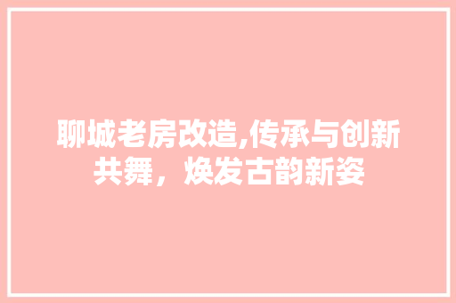 聊城老房改造,传承与创新共舞，焕发古韵新姿