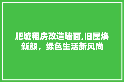 肥城租房改造墙面,旧屋焕新颜，绿色生活新风尚