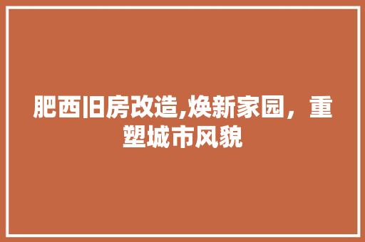 肥西旧房改造,焕新家园，重塑城市风貌