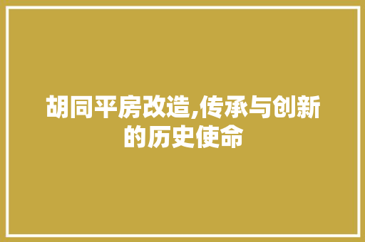 胡同平房改造,传承与创新的历史使命
