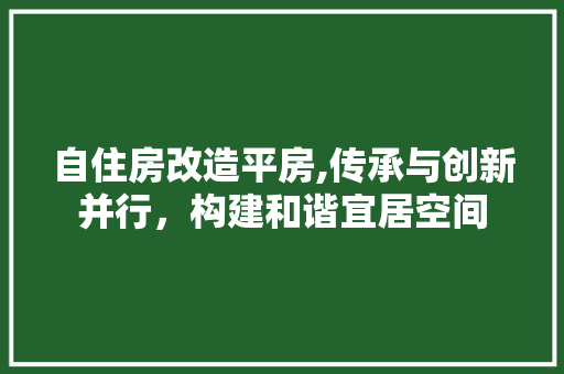 自住房改造平房,传承与创新并行，构建和谐宜居空间