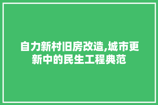 自力新村旧房改造,城市更新中的民生工程典范