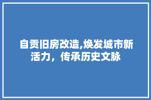 自贡旧房改造,焕发城市新活力，传承历史文脉