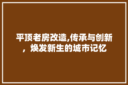 平顶老房改造,传承与创新，焕发新生的城市记忆