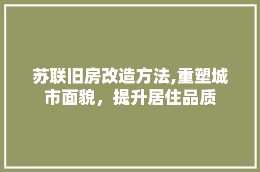 苏联旧房改造方法,重塑城市面貌，提升居住品质