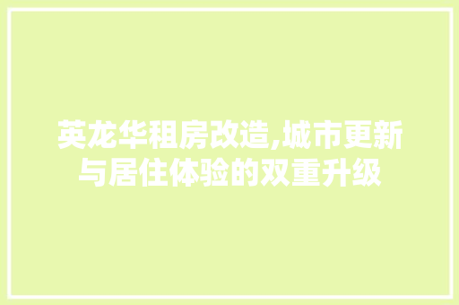 英龙华租房改造,城市更新与居住体验的双重升级