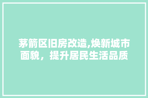茅箭区旧房改造,焕新城市面貌，提升居民生活品质