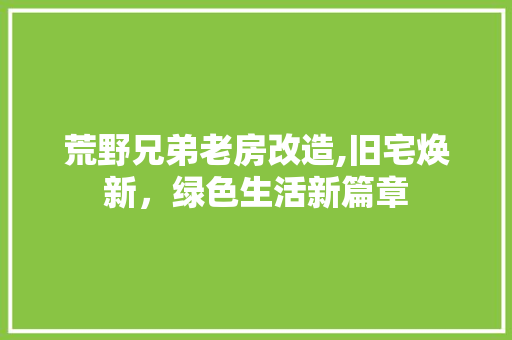荒野兄弟老房改造,旧宅焕新，绿色生活新篇章