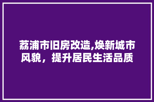 荔浦市旧房改造,焕新城市风貌，提升居民生活品质