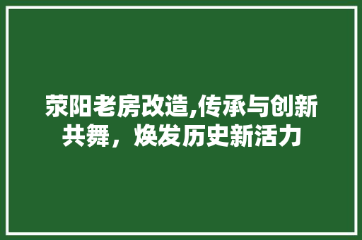 荥阳老房改造,传承与创新共舞，焕发历史新活力