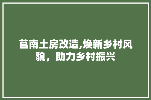 莒南土房改造,焕新乡村风貌，助力乡村振兴