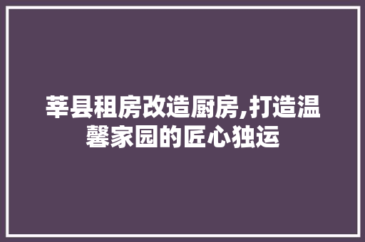 莘县租房改造厨房,打造温馨家园的匠心独运