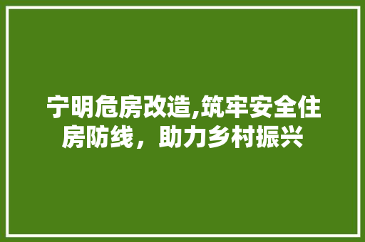 宁明危房改造,筑牢安全住房防线，助力乡村振兴